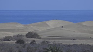 People on beach at maspalomas sand dunes in gran canaria, spain shot from far away
