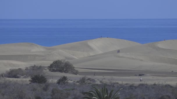 People Beach Maspalomas Sand Dunes Gran Canaria Spain Shot Far — Stockvideo