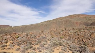  The desert landscape around el teide volcano, tenerife, canary islands,