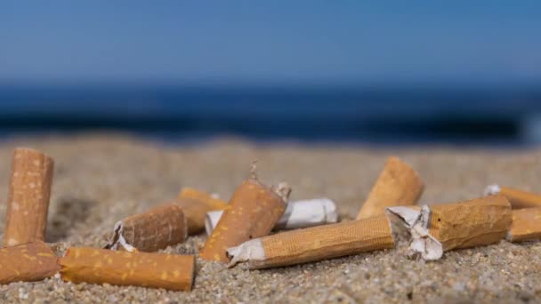 Stop Bevægelse Cigaret Stubbe Faldt Forlod Bunke Smuk Strand – Stock-video
