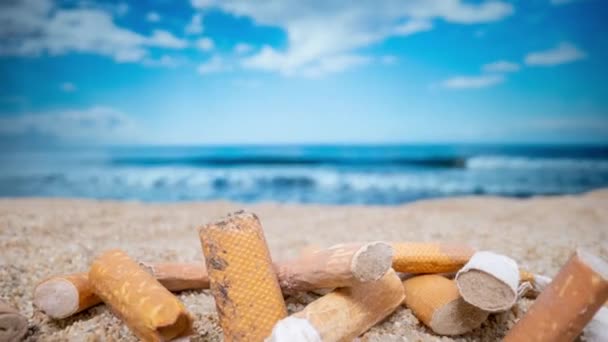 Остановка Движения Корешков Сигарет Упал Оставил Кучу Красивом Пляже — стоковое видео