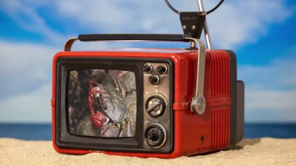 Een Vintage Televisie Het Strand Met Een Video Van Een — Stockvideo