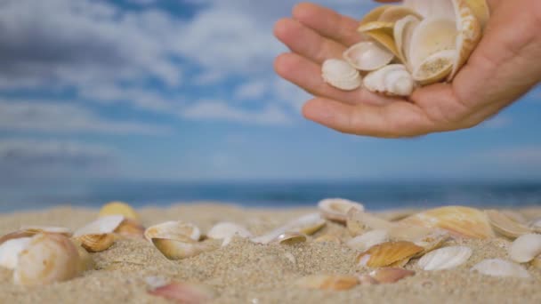 一只手缓缓地在海滩上抛掷贝壳 — 图库视频影像