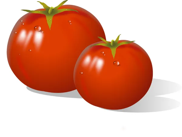 Tomates — Vector de stock