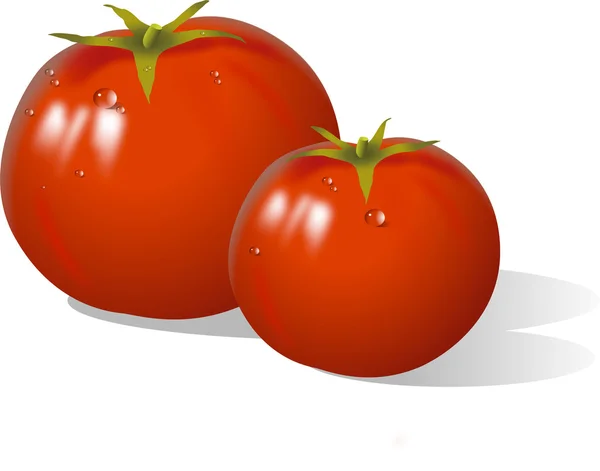 Tomates —  Vetores de Stock