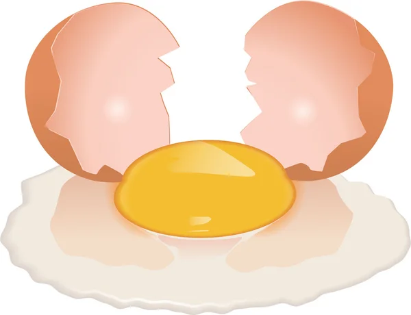 Broken egg — Stock Vector