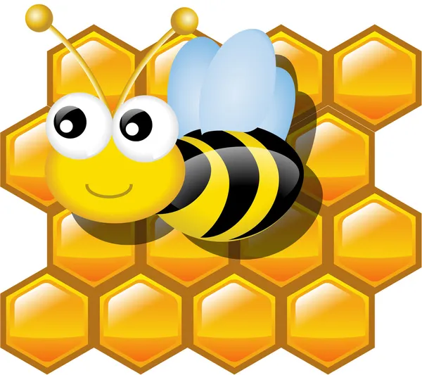 BEE AND HONEYCOMB — Stock Vector