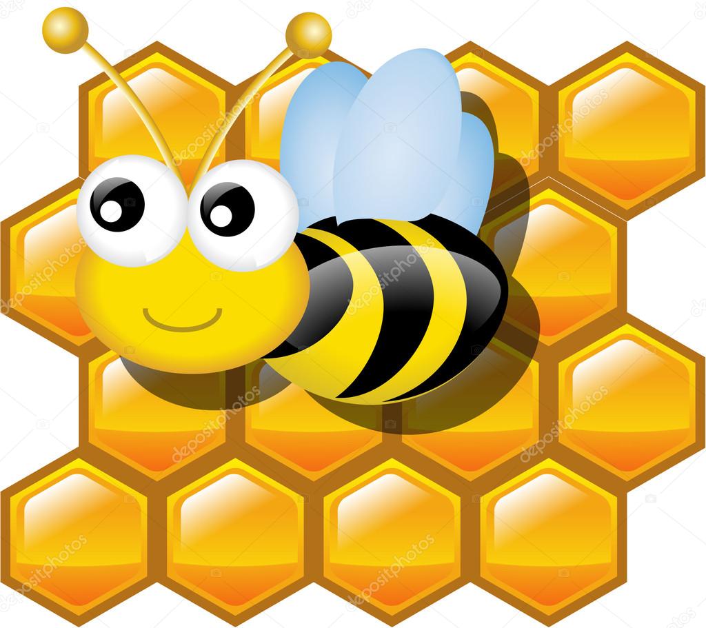 BEE AND HONEYCOMB