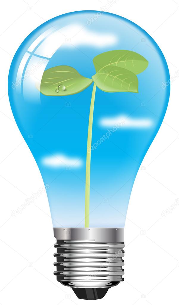 World growth