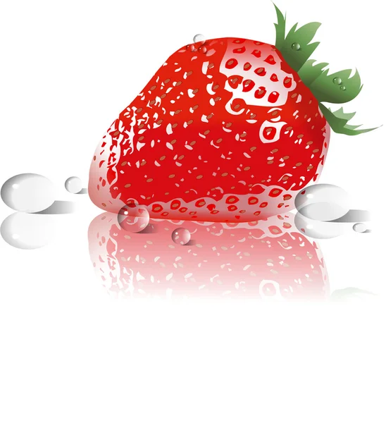 STRAWBERRY — Stock Vector