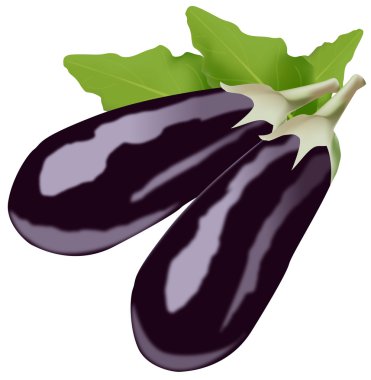 Patlıcan