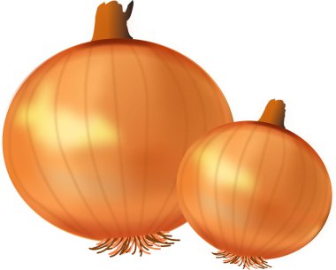 Soğan