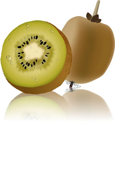 Fruta kiwi — Archivo Imágenes Vectoriales