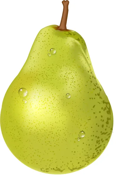 PEAR vruchten — Stockvector