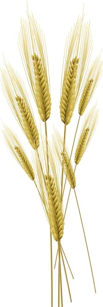Wheat sheaf — Stock Vector