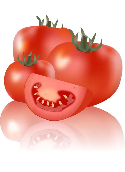 Tomato — Stock Vector