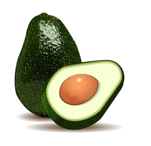 Avocado — Stockvector