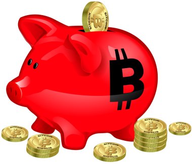 Bitcoin finans domuz