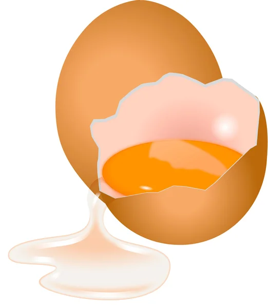 BROKEN EGG — Stock Vector