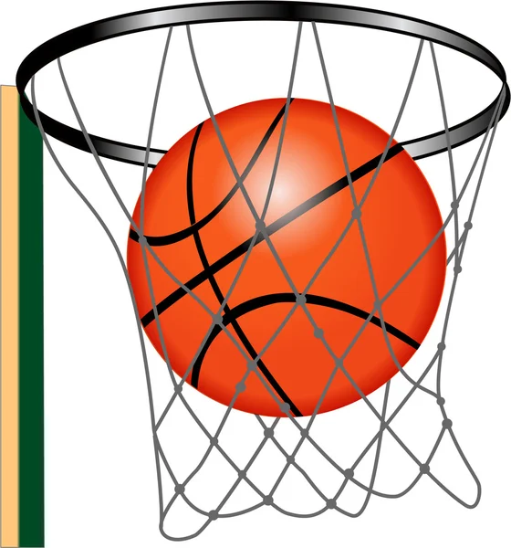 Palla da basket rete — Vettoriale Stock