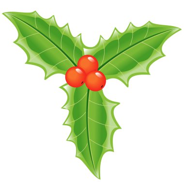 Holly ve berry