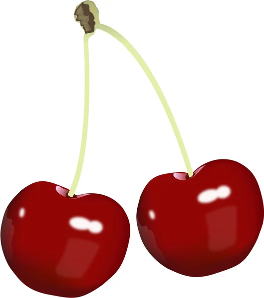 Cerises — Image vectorielle