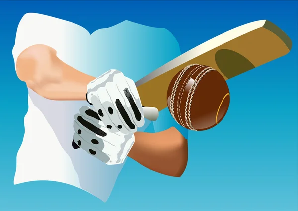 CRICKET — Stock Vector