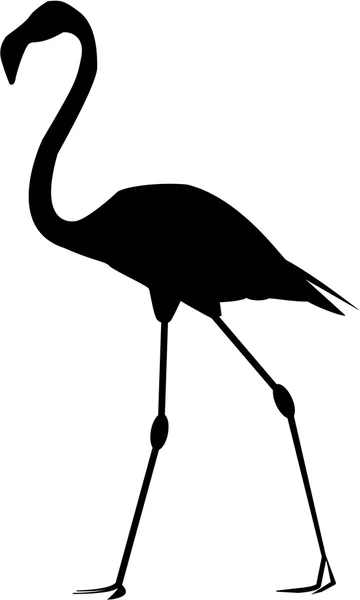Flamingos — Stock Vector