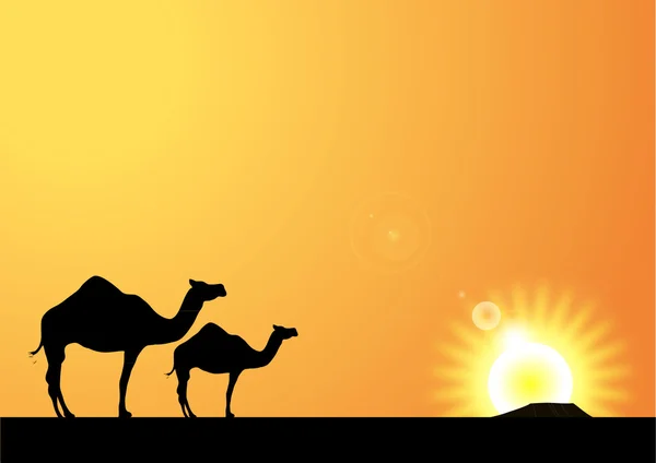 Kamelszene in der Wüste — Stockvektor