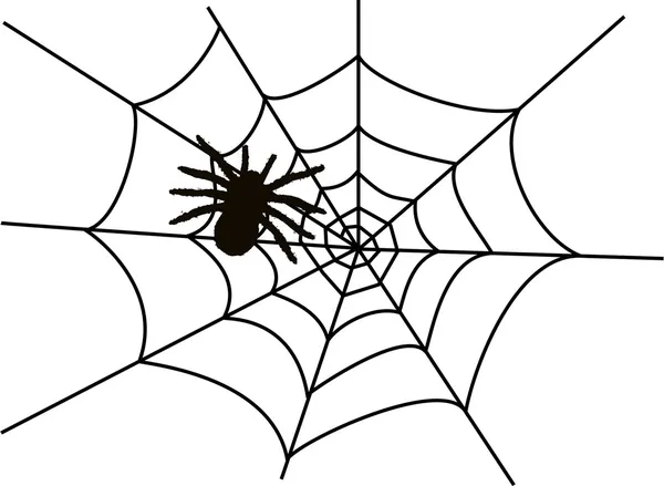 Red de araña — Vector de stock