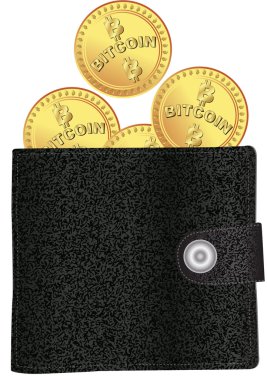 Bitcoin parası