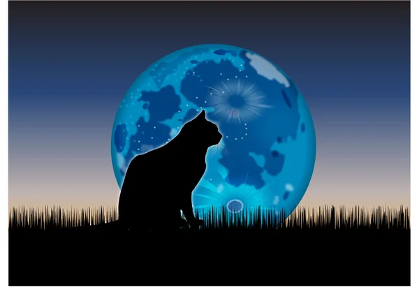 Gato y luna — Vector de stock