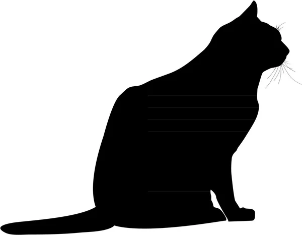 BLACK CAT — Stock Vector