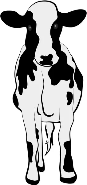 COW ANIMAL — Stock Vector