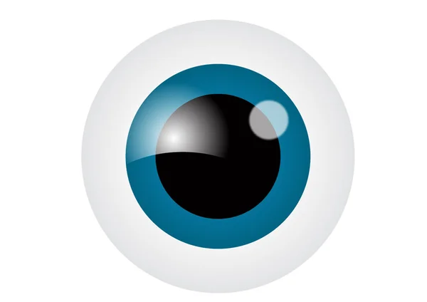Oční bulva — Stockový vektor