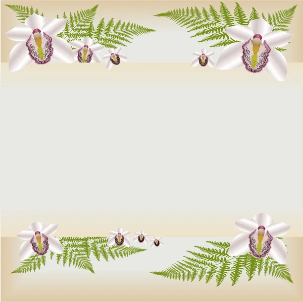 Orchid achtergrond — Stockvector