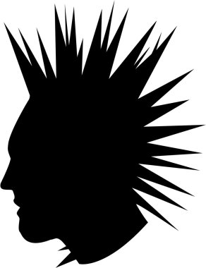 Punk adam