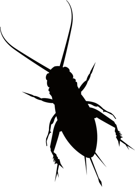 Böcek yatılı — Stok fotoğraf