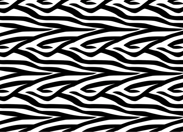 Vzor Zebra — Stock fotografie