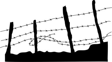 Champ de maïs à la récolte