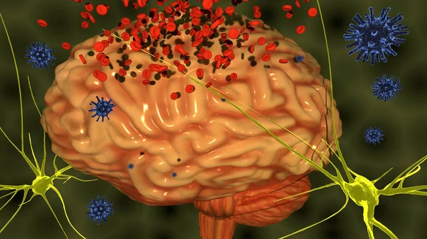 Hersenen Close Met Bloedcellen — Stockfoto