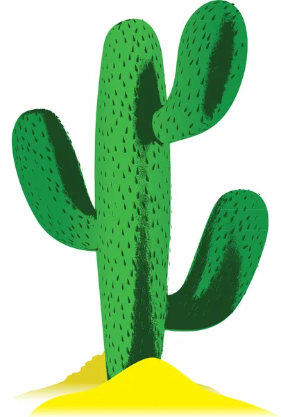 Cactus del desierto — Foto de Stock