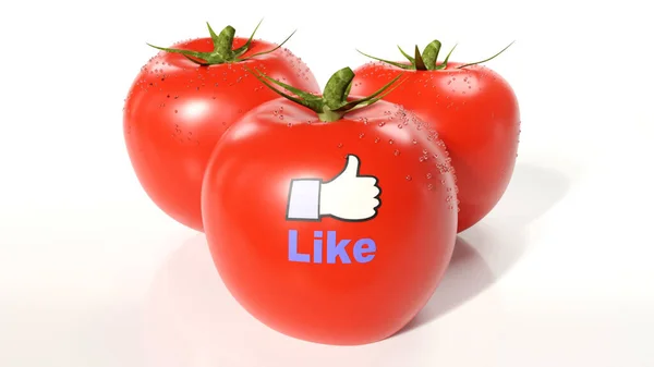Tomatoes Close Moisture — 스톡 사진