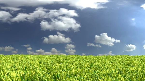 Champ Vert Avec Ciel Bleu Avec Nuages — Photo