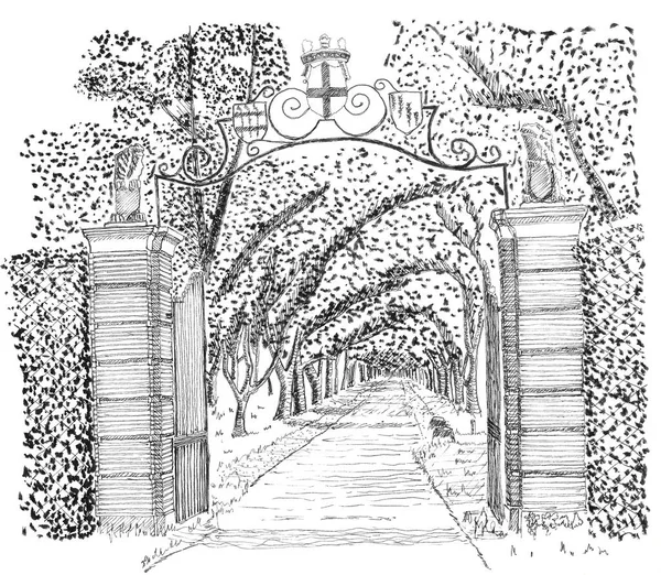 Marienwaerdt, Notenlaan Beesd 'e yakın. Walnoten.