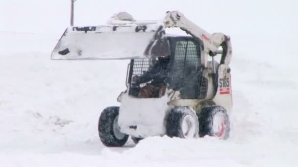 Bobcat soufflant la neige — Video