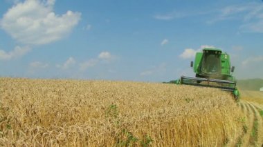 soya fasulyesi hasat birleştirmek