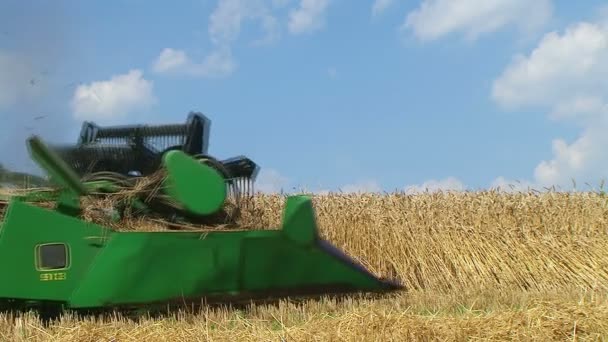 Combine Harvesting Soybeans — Stock Video