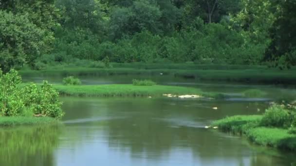 Lush River Bed Time lapse 