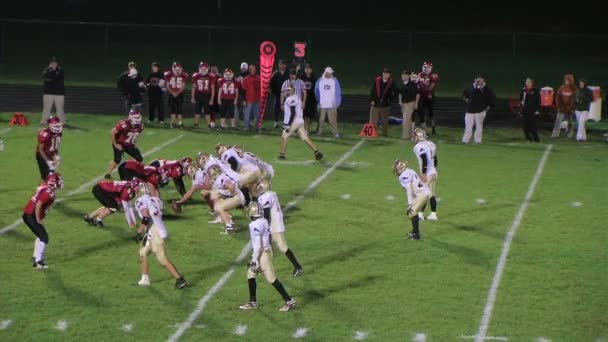 Football Reception and Tackle — Stock Video